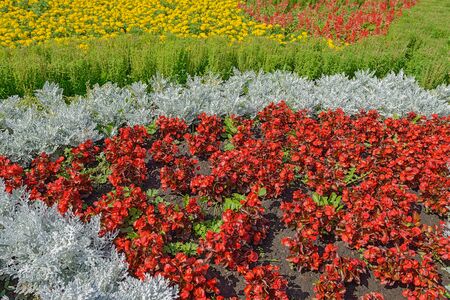 Bed with colours and plants of various coloursの写真素材