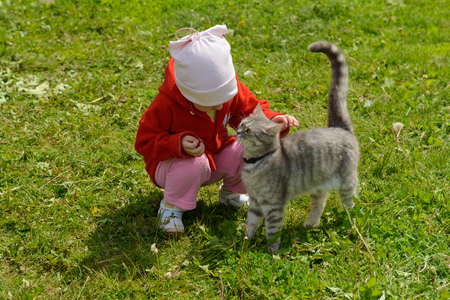 Little girl stroking a cat on a green lawnのeditorial素材