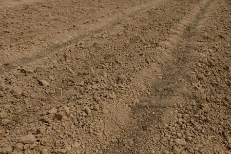 plowed and sown land in a field of brown
