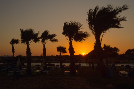 Sunset on the beach with sun loungers and palm treesの写真素材