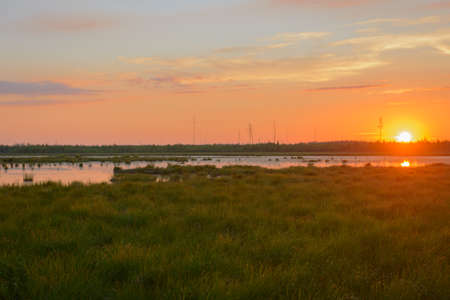 Summer evening landscape with a grassy lake