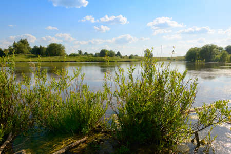 Summer landscape with a lake and green vegetation aroundの写真素材
