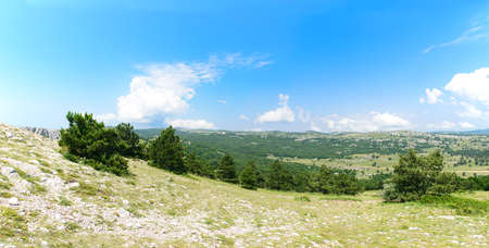 Panorama with a view of a mountain valley with green forestsの写真素材
