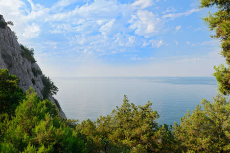 Landscape with a view from the mountain forest to the sea on a summer morningの写真素材