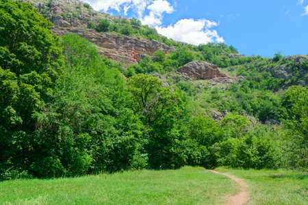 Mountain slopes with dense green forest on a sunny summer dayの写真素材