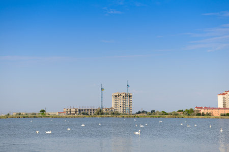 Lake with floating swans near multi-storey buildings under constructionの写真素材