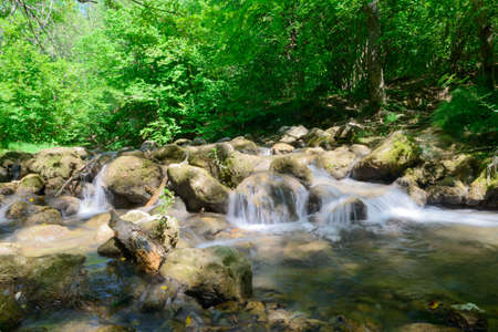 Forest stream with rifts and rocks on a sunny summer dayの写真素材