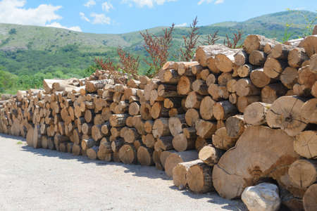 A row of logs for firewood lie along the road on a sunny summer dayの写真素材