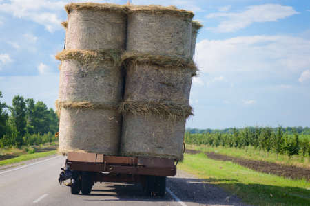A truck filled to the brim transports round bales of hayの写真素材