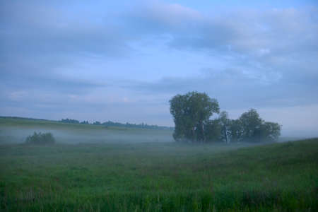 Evening summer landscape with fog in a green ravineの写真素材
