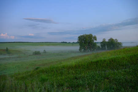 Evening summer landscape with fog in a green ravineの写真素材