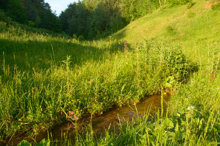Summer landscape with green ravine, river and forestの写真素材