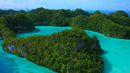 tropical pool in tropical paradise