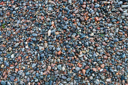 Background, texture of small coastal pebbles.