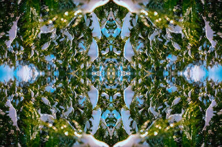 Colorful seamless Christmas patterns from thuja branches in the snow.の写真素材