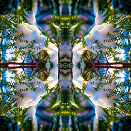 Colorful winter patterns from snow-covered and frozen thickets of thuja., Digital illustration for a festive print and decoration.の写真素材