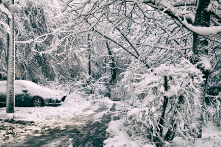 Snow-covered roads of the city districts after a snowstorm.の写真素材