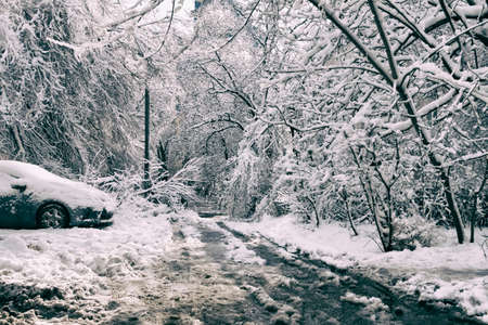 Snow-covered roads and abandoned cars after a blizzard and strong wind.