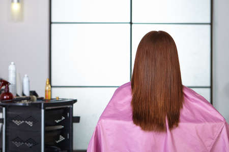 Hair salon  Women s haircut  Back view 
