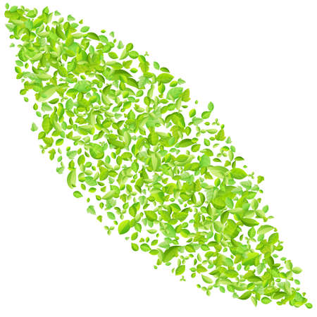 Vector fresh spring green leaves background for greeting card in flat style.のイラスト素材