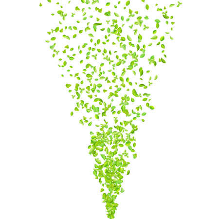 Vector fresh spring green leaves background for greeting card in flat style.のイラスト素材