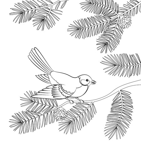 Bird Titmouse Sitting on Pine Tree Branch with Needles and Cones, Black Contour Isolated on White Background. Vectorのイラスト素材