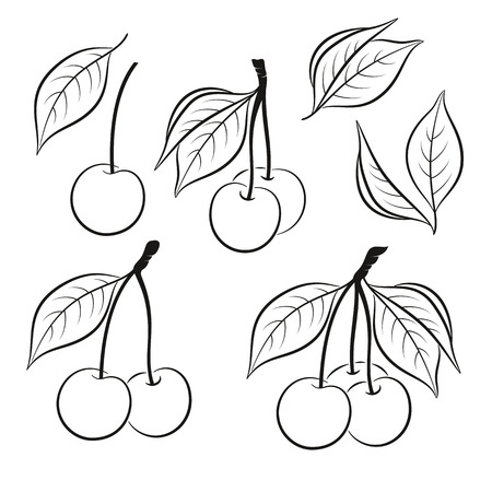 Set of Cherry, Berries and Leaves, Black Pictograms Isolated on White. Vectorのイラスト素材