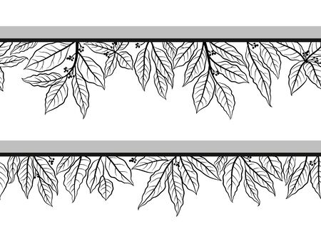 Seamless Floral Pattern with Laurel Bay Leaves Black Contours Isolated on White Background. Vectorのイラスト素材