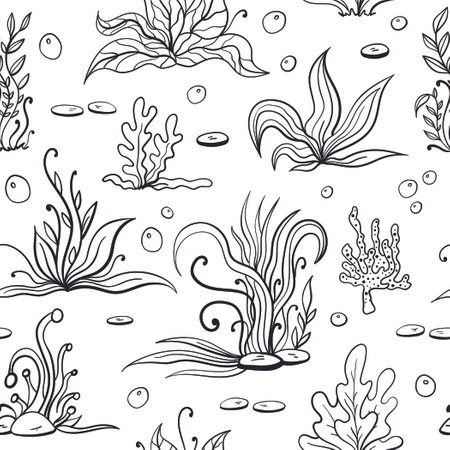 Set of seaweeds and marine plants. Seamless pattern of algae, leaves, coral. Vintage style drawn marine flora. White background vector illustration. Design for summer beach, decorations.のイラスト素材