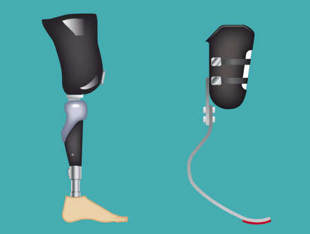 Carbon fiber prosthetic leg. Elements are on a separate layer and can be easily removed.の写真素材