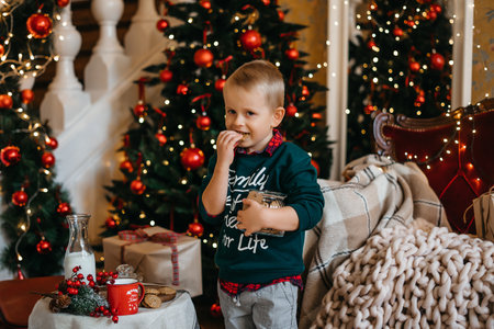 Good New Year spirit. Little cute boy stands near the Christmas tree and eats Christmas cookies. High quality photoの写真素材