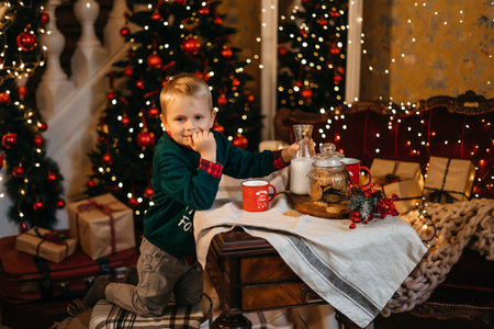 Good New Year spirit. Little cute boy stands near the Christmas tree and eats Christmas cookies. High quality photoの写真素材