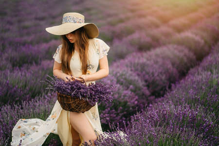 Beautiful young woman portrait in lavender field. An attractive girl with long curly hair in a long dress is dreaming. High quality photoの写真素材
