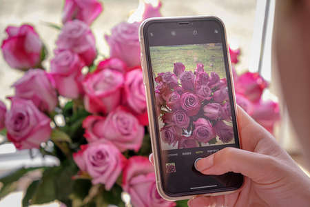 girl photographs a bouquet of flowers on a smartphone. flowers in the background, focus on the smartphone screen. selective focusの写真素材
