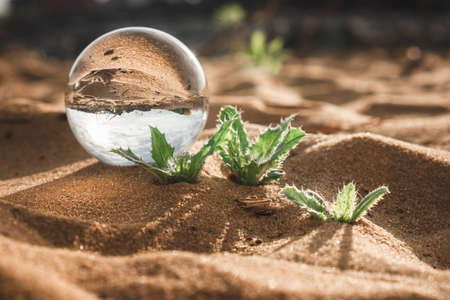 glass ball in the desert on the sand. grains of sand close-up. in the reflection blue sky. lifeless desertの写真素材