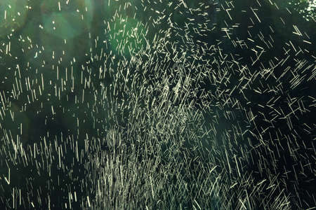 Water splashes on a dark green backgroundの写真素材