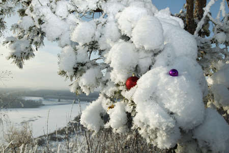 Christmas decorations on snow-covered branch on background of the riverの写真素材