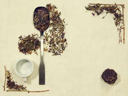 Herbal flat lay of different herbs on linen fabric with a spoon, cup and pine coneの写真素材