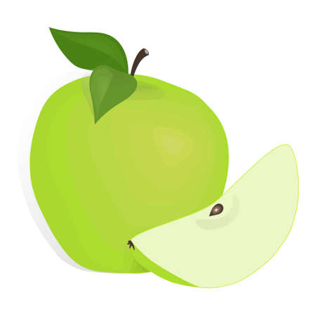 Apple green fruit doodle hand drawn vector illustrationのイラスト素材