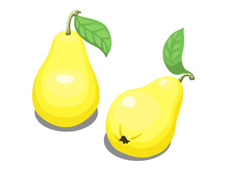 Yellow pear colorful hand drawn vector illustrationのイラスト素材