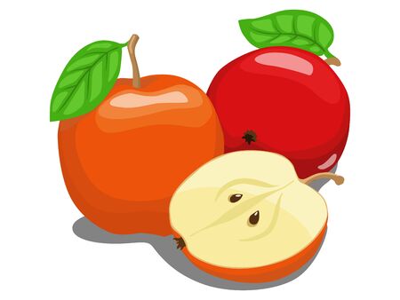 Color apple fruit hand drawn vector illustrationのイラスト素材