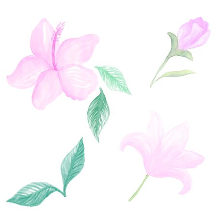 Watercolor flowers pastel colors trace vector illustrationのイラスト素材
