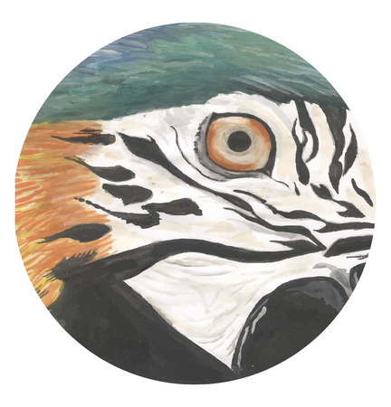 Watercolor parrot bird trace vector eye illustrationのイラスト素材