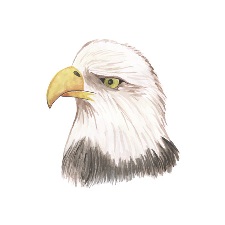Eagle watercolor isolated bird vector trace illustrationのイラスト素材