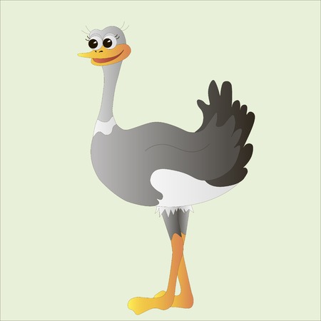 Ostrich doodle hand drawn cartoon funny vector illustrationのイラスト素材