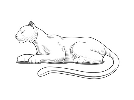Panther engraving style emblem black and white vector illustrationのイラスト素材