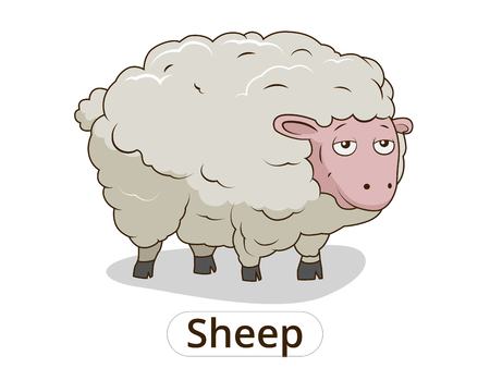 Sheep animal cartoon colorfil vector illustration for childrenのイラスト素材