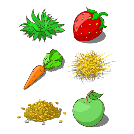 Animals food corn grass hay carrot vector illustrationのイラスト素材