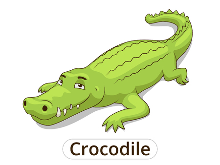 Crocodile african savannah animal cartoon vector illustration for childrenのイラスト素材