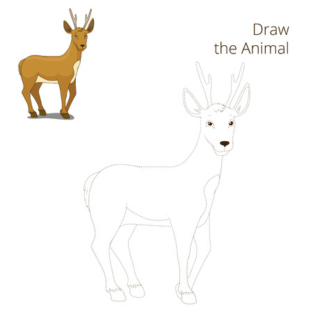 Draw the forest animal roe deer cartoon for children vector illustrationのイラスト素材